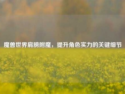 魔兽世界肩膀附魔，提升角色实力的关键细节