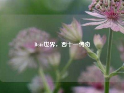 Dota世界，西十一传奇