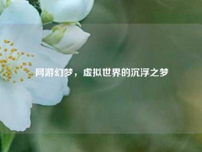 网游幻梦,虚拟世界的沉浮之梦