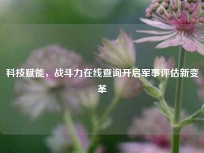 科技赋能，战斗力在线查询开启军事评估新变革