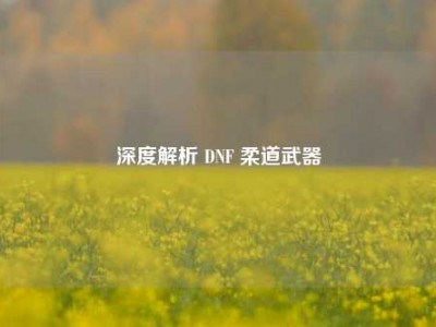 深度解析 DNF 柔道武器