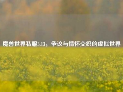 魔兽世界私服3.13，争议与情怀交织的虚拟世界