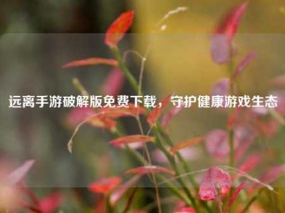 远离手游破解版免费下载，守护健康游戏生态