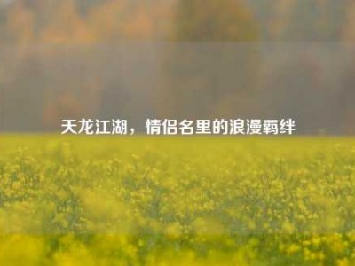 天龙江湖,情侣名里的浪漫羁绊