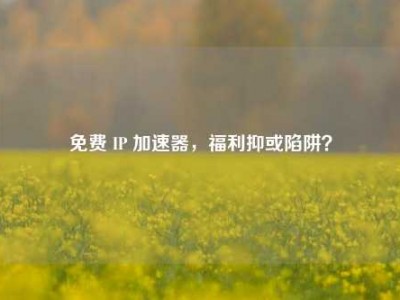 免费 IP 加速器，福利抑或陷阱？