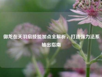 御龙在天羽扇技能加点全解析,打造强力法系输出指南