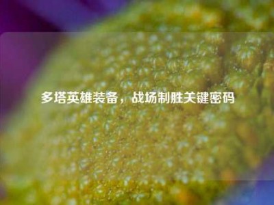 多塔英雄装备,战场制胜关键密码