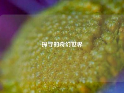 探寻的奇幻世界