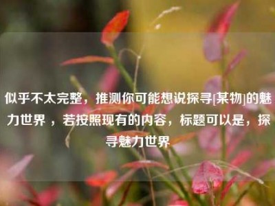 似乎不太完整，推测你可能想说探寻[某物]的魅力世界 ，若按照现有的内容，标题可以是，探寻魅力世界
