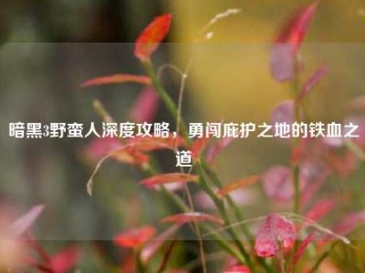 暗黑3野蛮人深度攻略,勇闯庇护之地的铁血之道