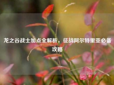 龙之谷战士加点全解析,征战阿尔特里亚必备攻略