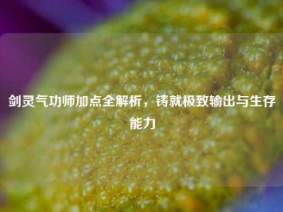 剑灵气功师加点全解析，铸就极致输出与生存能力