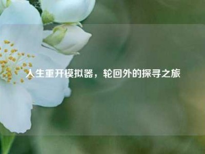 人生重开模拟器,轮回外的探寻之旅