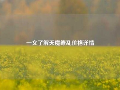 一文了解天魔缭乱价格详情
