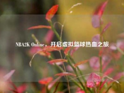 NBA2K Online，开启虚拟篮球热血之旅