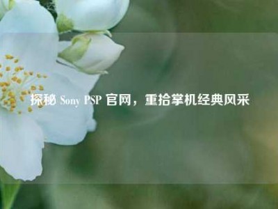 探秘 Sony PSP 官网,重拾掌机经典风采