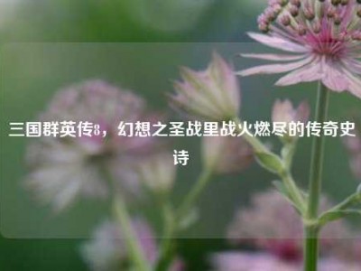 三国群英传8，幻想之圣战里战火燃尽的传奇史诗