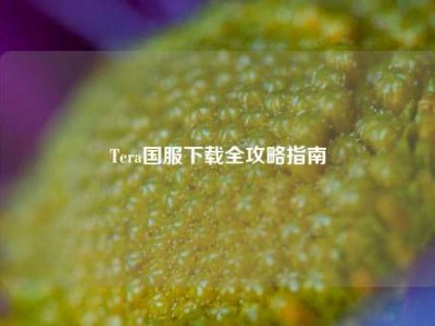 Tera国服下载全攻略指南