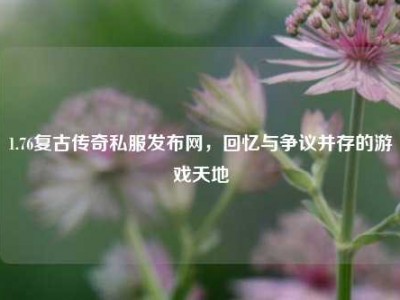 1.76复古传奇私服发布网，回忆与争议并存的游戏天地