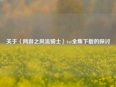关于〈网游之风流骑士〉txt全集下载的探讨