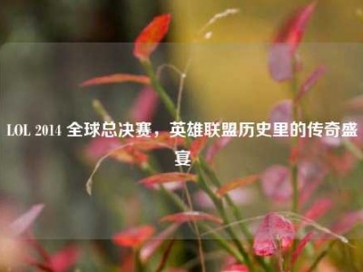 LOL 2014 全球总决赛，英雄联盟历史里的传奇盛宴