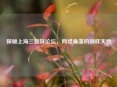 探秘上海三姐妹论坛，网络角落的别样天地