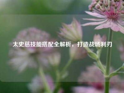 太史慈技能搭配全解析,打造战场利刃