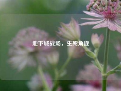 地下城战场，生死角逐