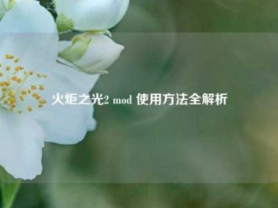 火炬之光2 mod 使用方法全解析