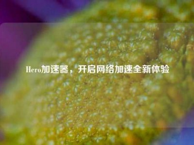 Hero加速器，开启网络加速全新体验