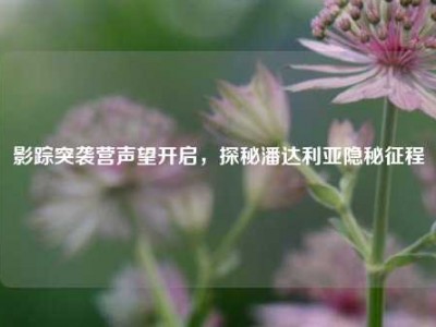 影踪突袭营声望开启,探秘潘达利亚隐秘征程