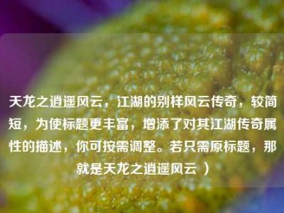 天龙之逍遥风云,江湖的别样风云传奇,较简短,为使标题更丰富,增添了对其江湖传奇属性的描述,你可按需调整。若只需原标题,那就是天龙之逍遥风云 )