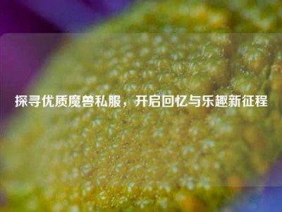 探寻优质魔兽私服，开启回忆与乐趣新征程