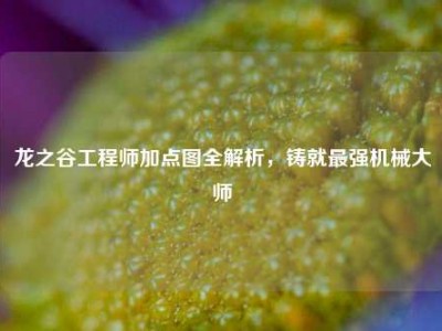 龙之谷工程师加点图全解析，铸就最强机械大师