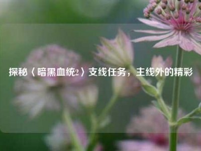 探秘〈暗黑血统2〉支线任务,主线外的精彩
