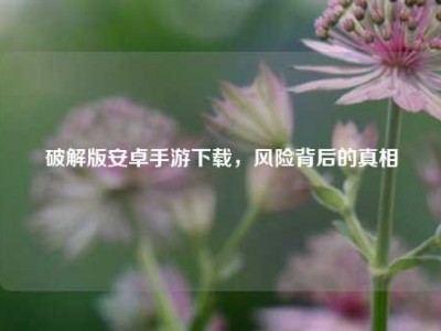 破解版安卓手游下载,风险背后的真相