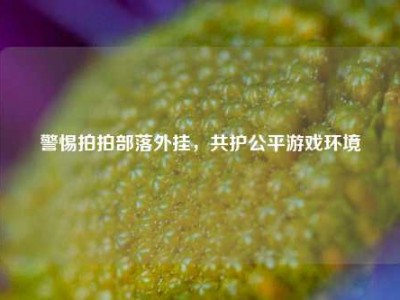 警惕拍拍部落外挂，共护公平游戏环境