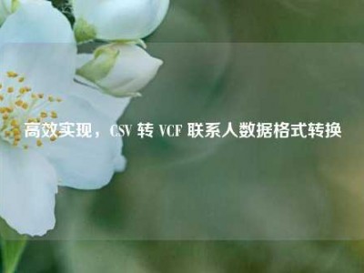 高效实现，CSV 转 VCF 联系人数据格式转换