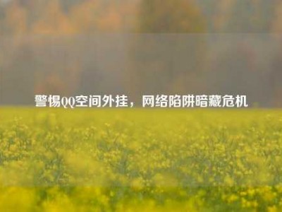 警惕QQ空间外挂，网络陷阱暗藏危机