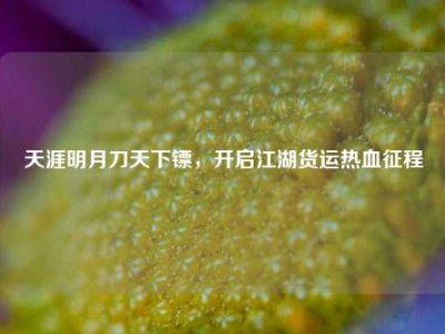 天涯明月刀天下镖，开启江湖货运热血征程