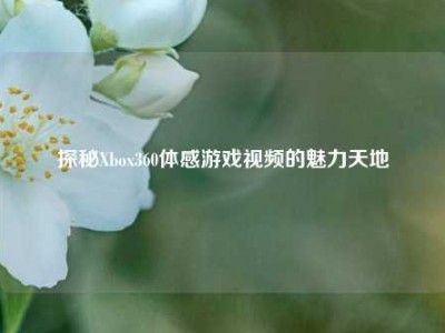 探秘Xbox360体感游戏视频的魅力天地
