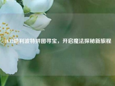 10.12哈利波特拼图寻宝，开启魔法探秘新旅程