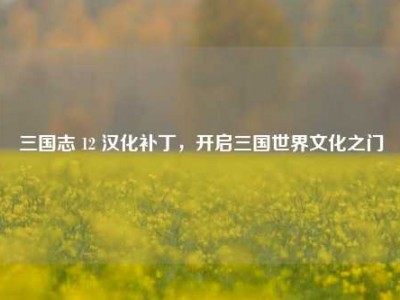 三国志 12 汉化补丁，开启三国世界文化之门