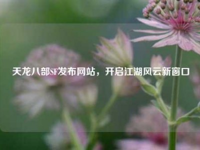 天龙八部SF发布网站,开启江湖风云新窗口