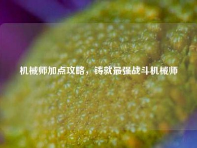 机械师加点攻略，铸就最强战斗机械师