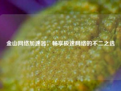 金山网络加速器，畅享极速网络的不二之选