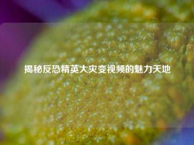 揭秘反恐精英大灾变视频的魅力天地