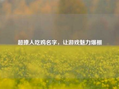 超撩人吃鸡名字,让游戏魅力爆棚