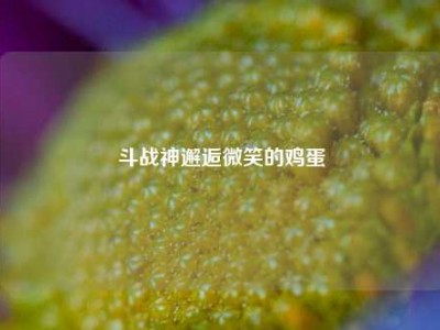 斗战神邂逅微笑的鸡蛋