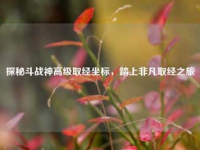 探秘斗战神高级取经坐标,踏上非凡取经之旅